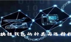 区块链钱包的种类与选择指南